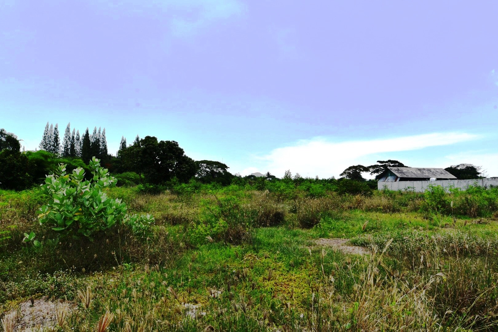 Large Plot of Land in Hua Hin – Hin Lek Fai district