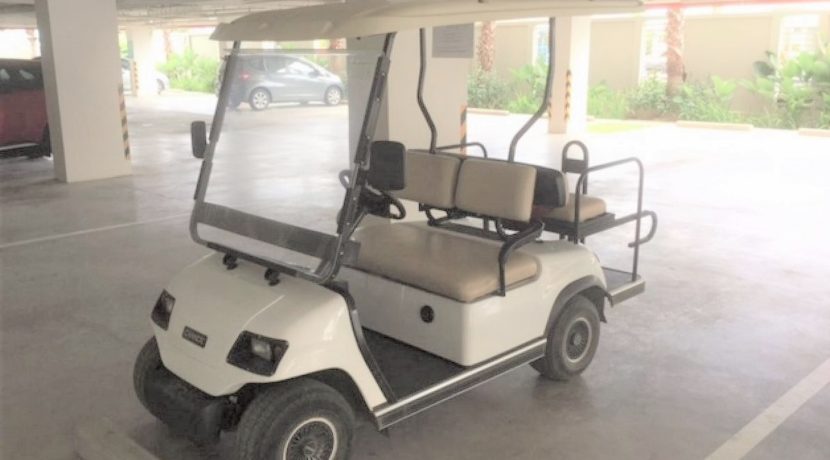 06 Golf cart for local driving