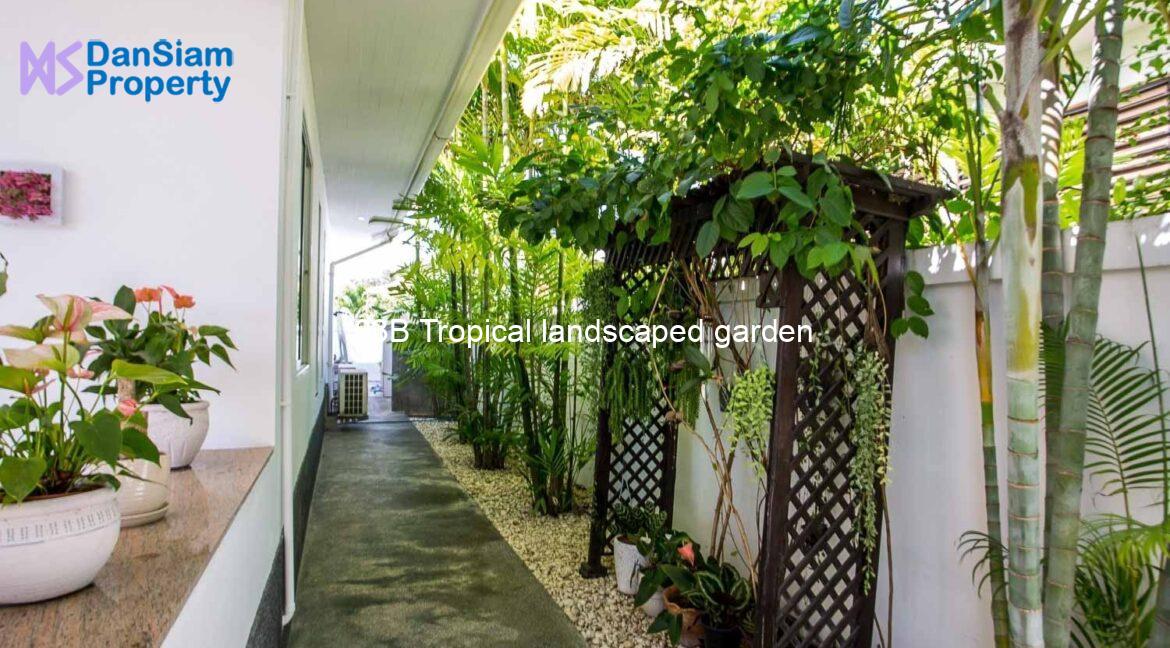 03B Tropical landscaped garden