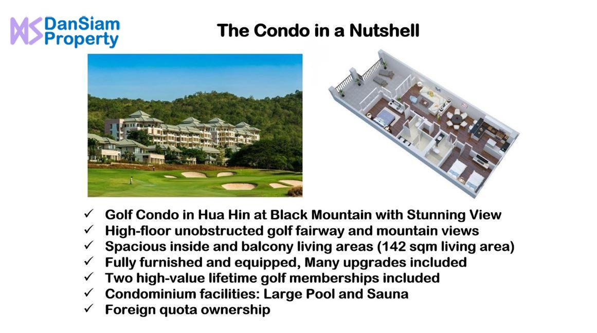 00B The Condo in a Nutshell Image (Resized)