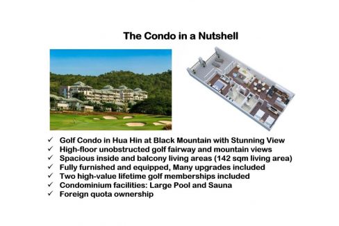00B The Condo in a Nutshell Image (Resized)